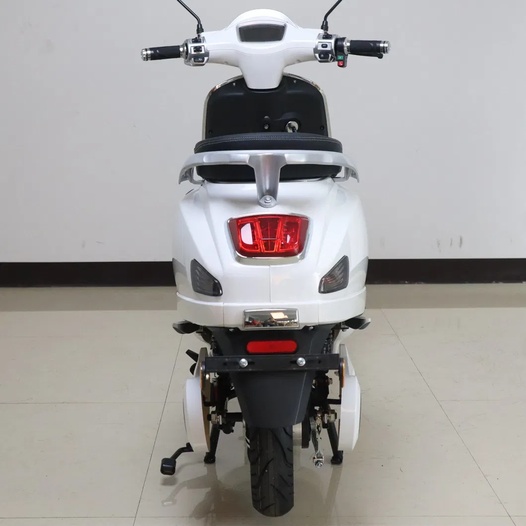 Vespa Tsela Two Wheel Electric Scooter 1000W Electric Motorcycle Tsl-F CKD/SKD