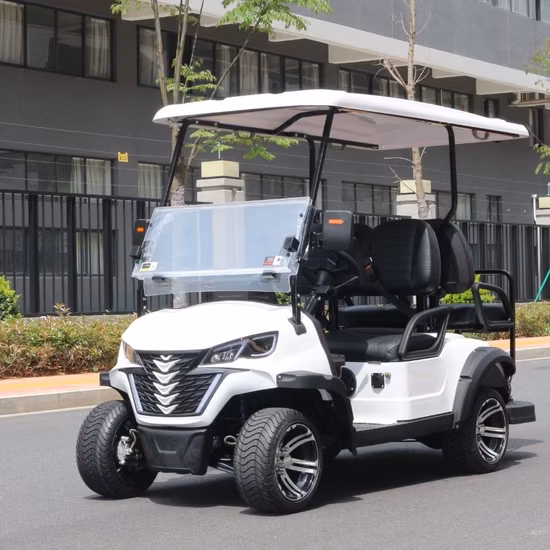 제조자 자유로운 주문 색깔 OEM ​​전기 스포츠 골프 버기 카트 도매 단 하나 호화스러운 Seater를 가진 배터리 4 바퀴 2 여객 전기 소형 차 소형 차