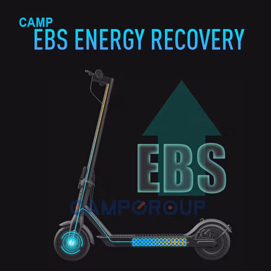 뜨거운 판매 3 바퀴 이동성 스쿠터 일일 이동성 350W 브러시리스 모터 성인 접이식 전기 오토바이 수하물 스쿠터